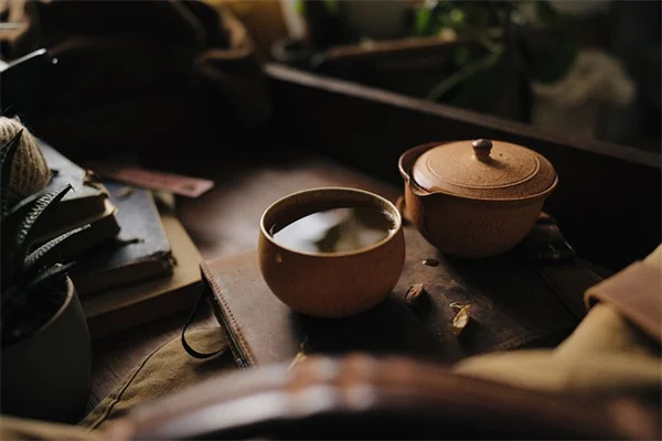 冬の水やりは本当に必要？絶対に水をやるべき3種類の植物