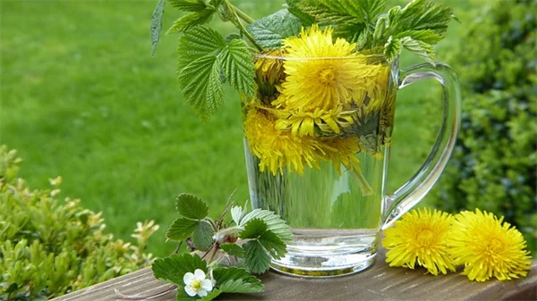 秋の庭仕事、9月に多年草を株分けする8つのおすすめ植物とタイミング