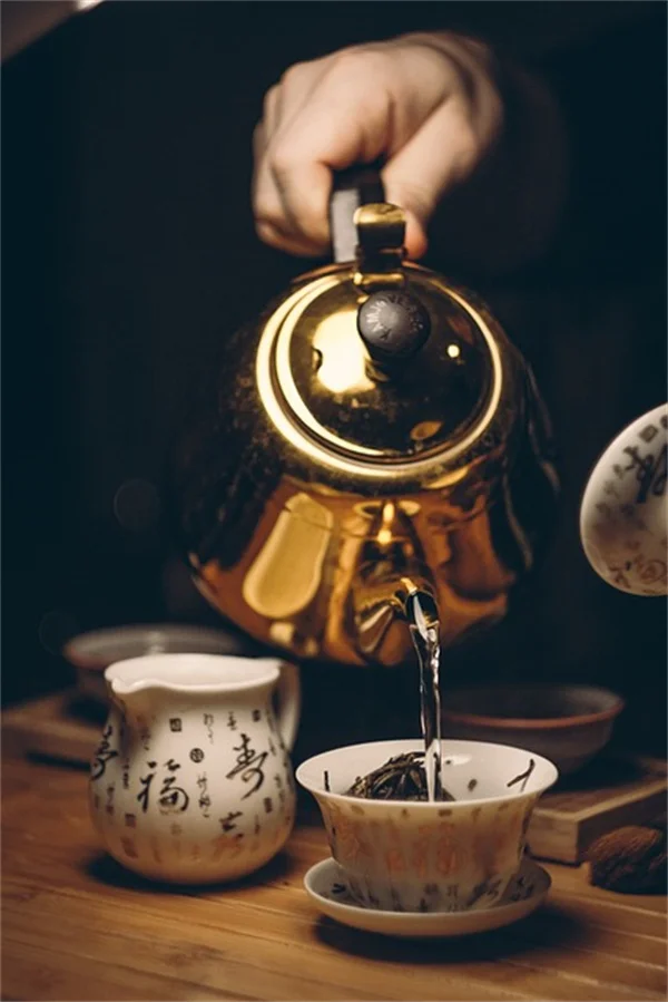 クリスマスに欠かせない伝統の植物5つと安全に飾るコツ